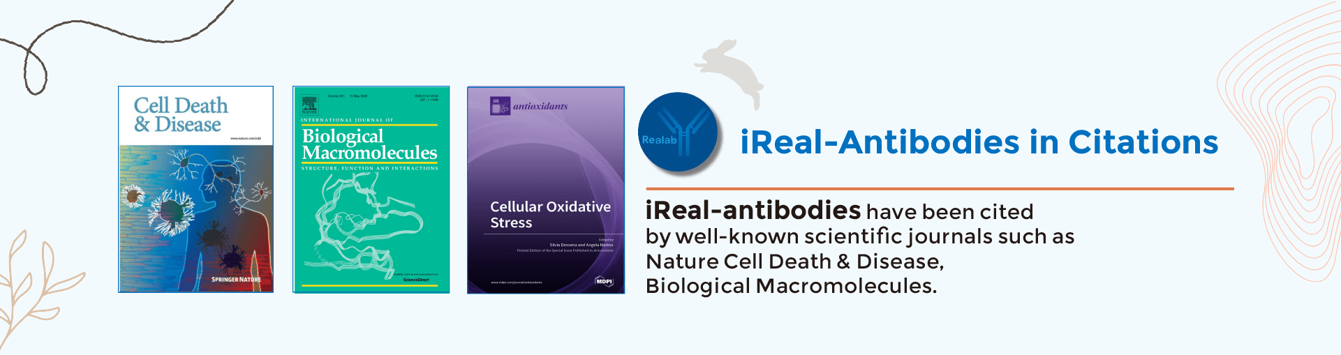 iReal-Antibodies in Citations