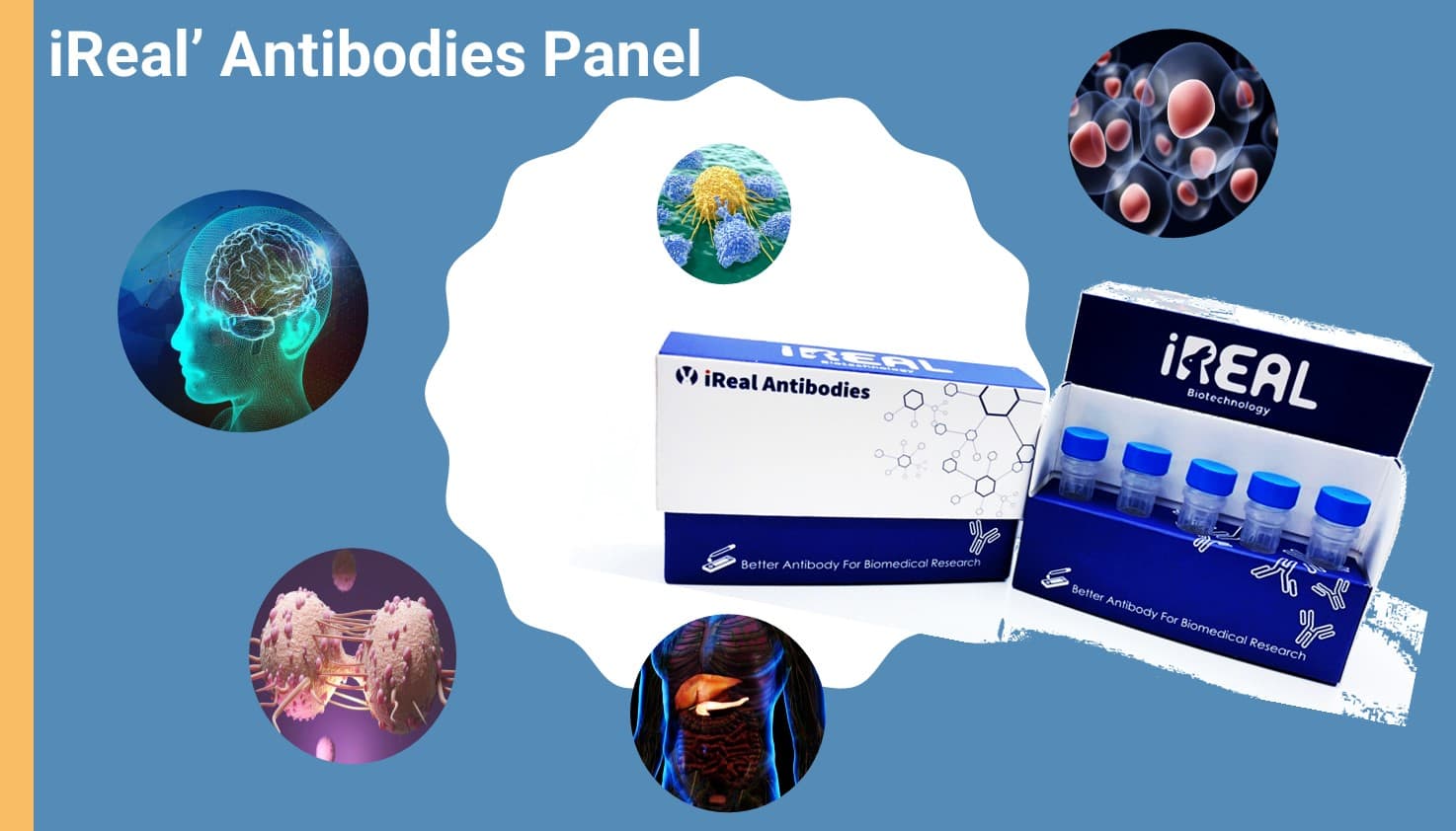 iReal’Antibodies Panel Kits