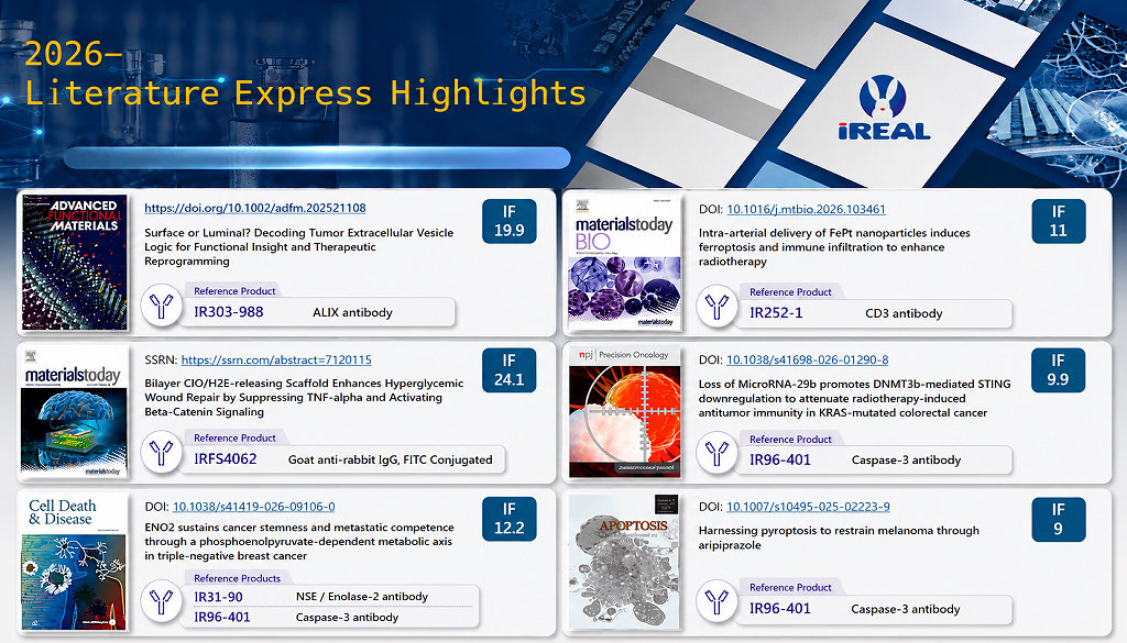 iRealBio Antibody - Reference lists