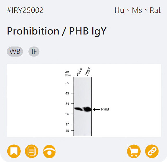 IRY25002 Prohibition / PHB IgY page link
