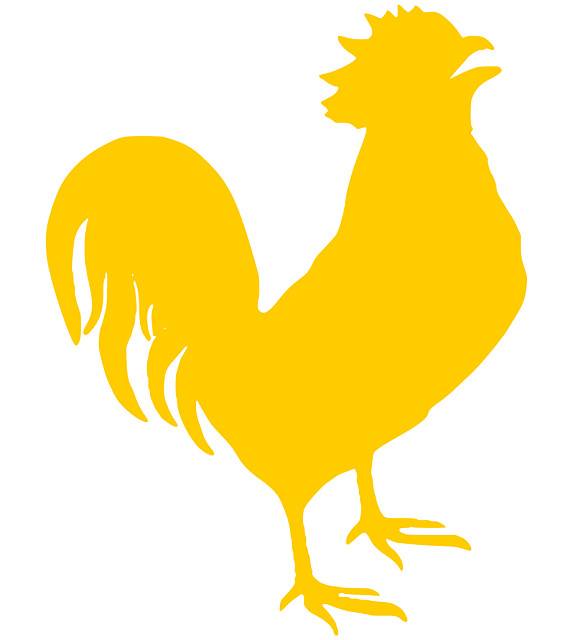 Chicken Immunization