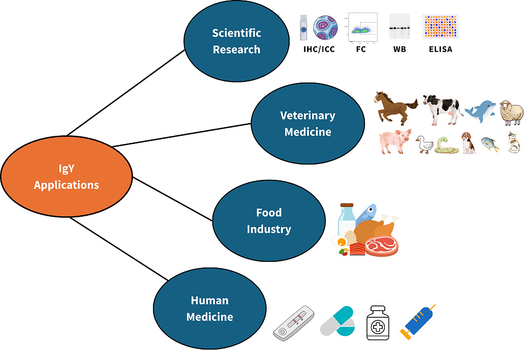 Potential applications of IgY technology Potential applications of IgY technology