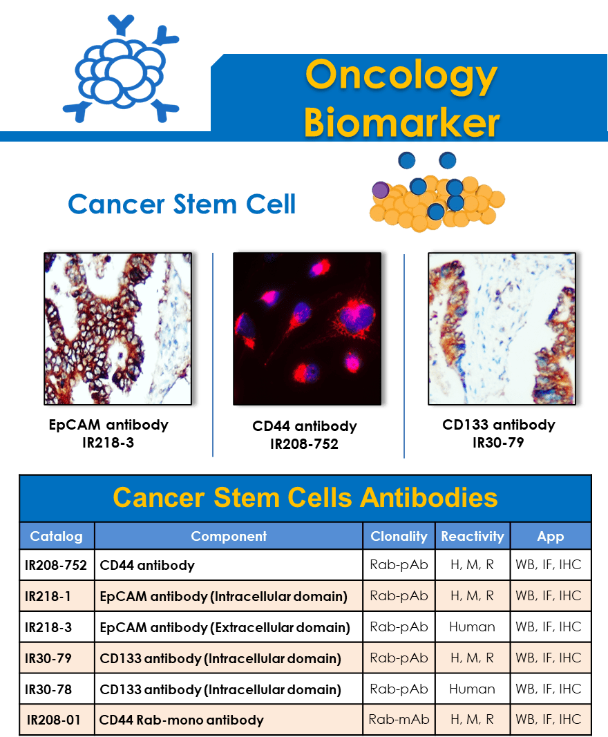 irealbio Oncology Biomarker antibodies list cancer steam cell