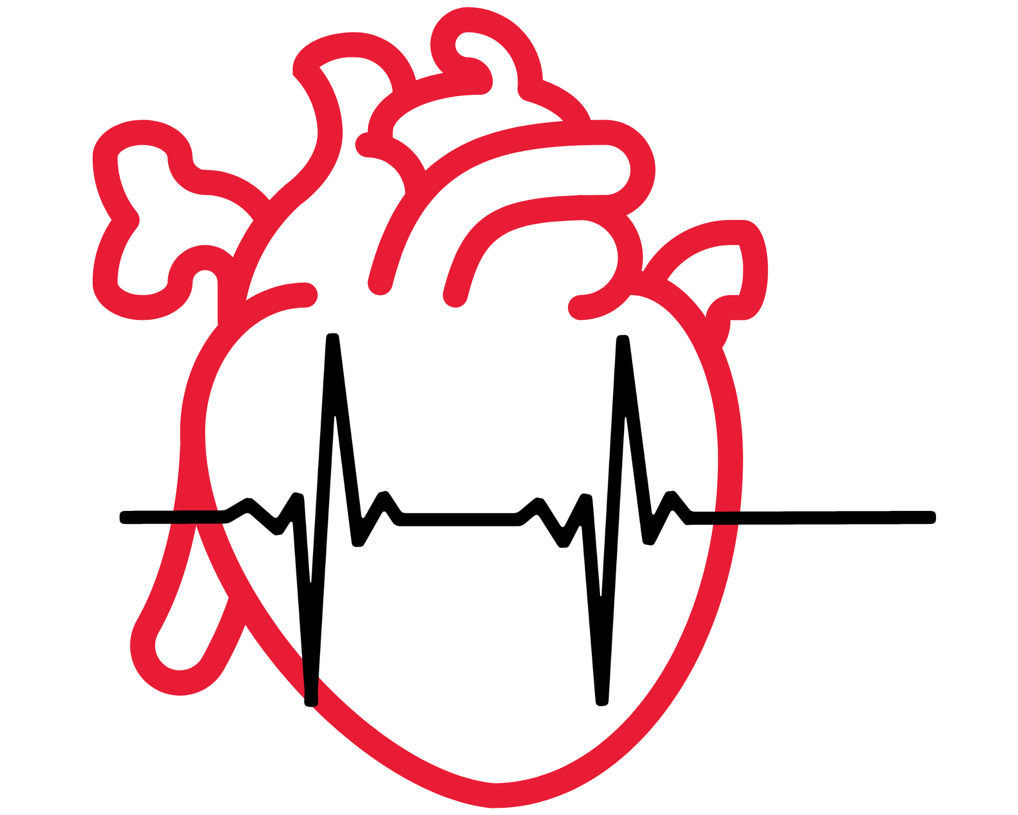 Cardiovascular Cardiovascular