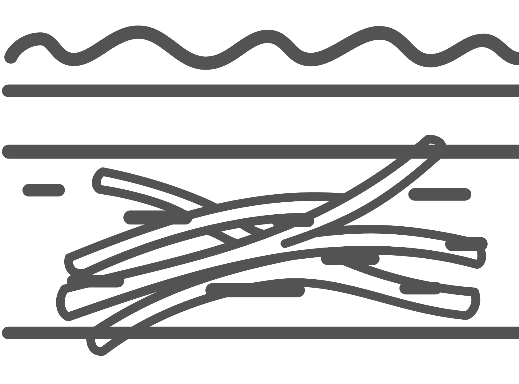 Extracellular matrix profiling Extracellular matrix profiling