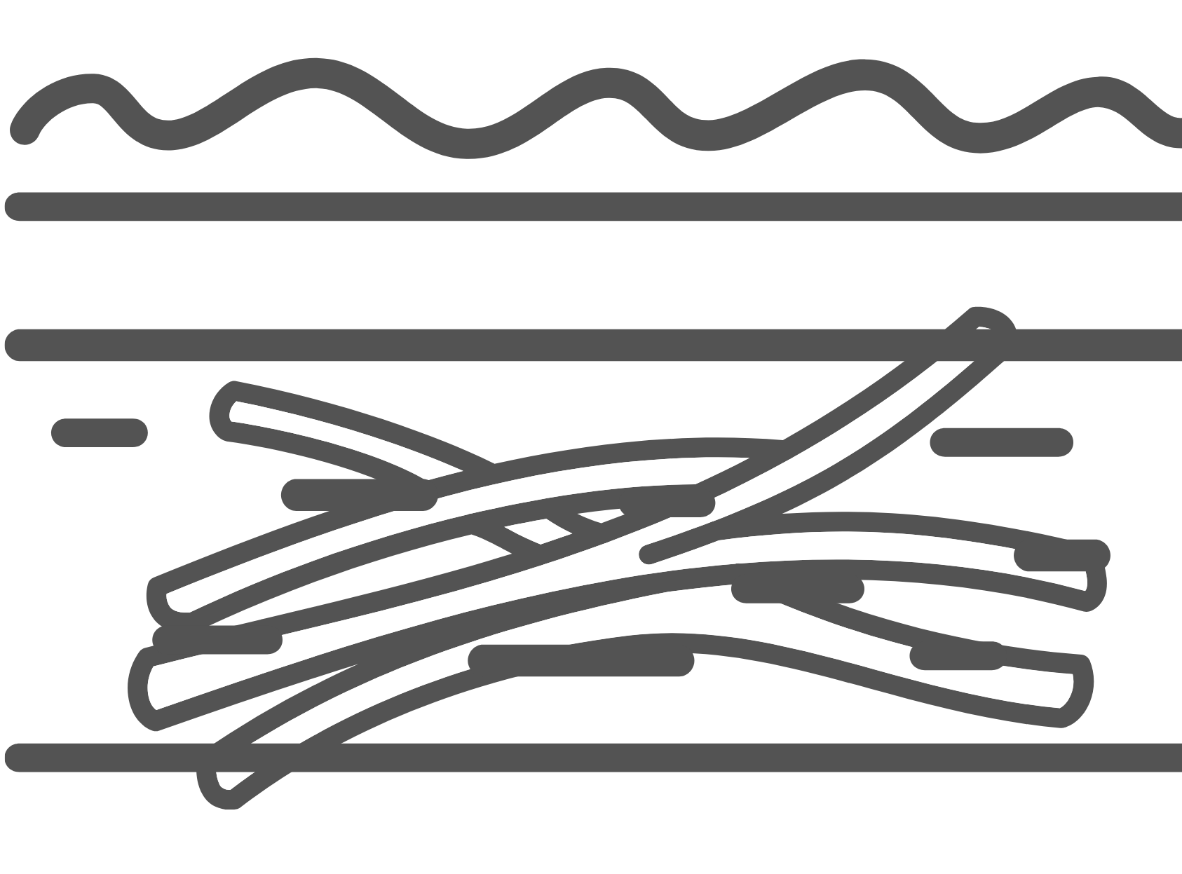 Extracellular matrix profiling