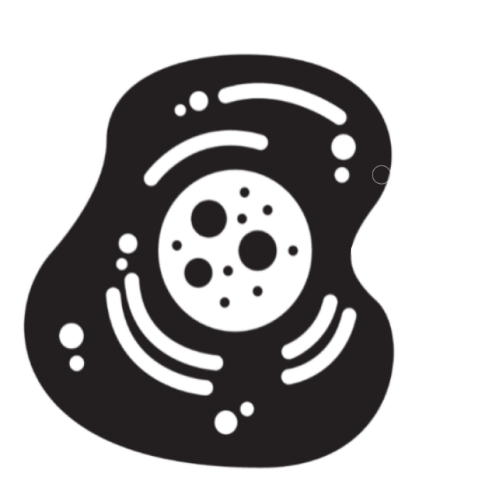 Organelle Marker Organelle Marker