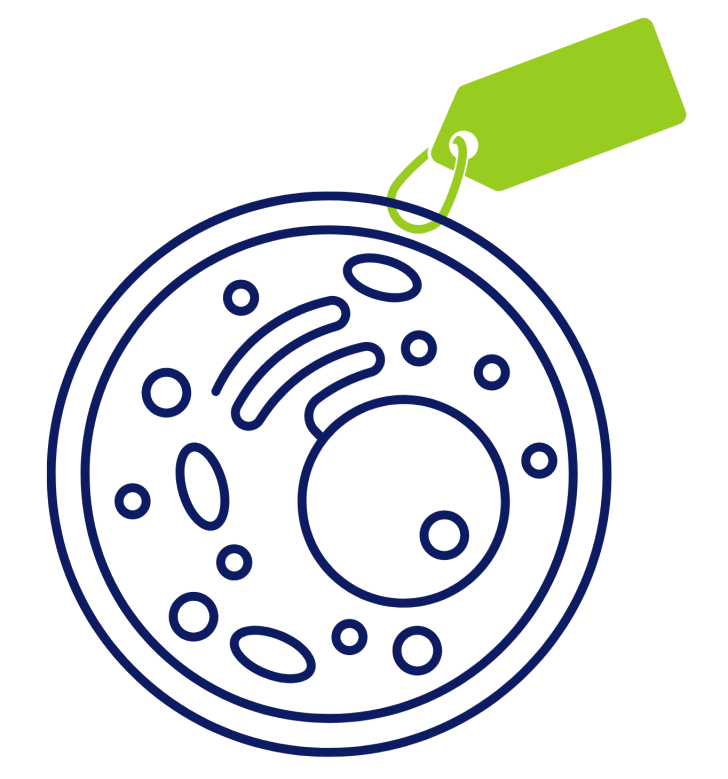 Epitope Tags Epitope Tags