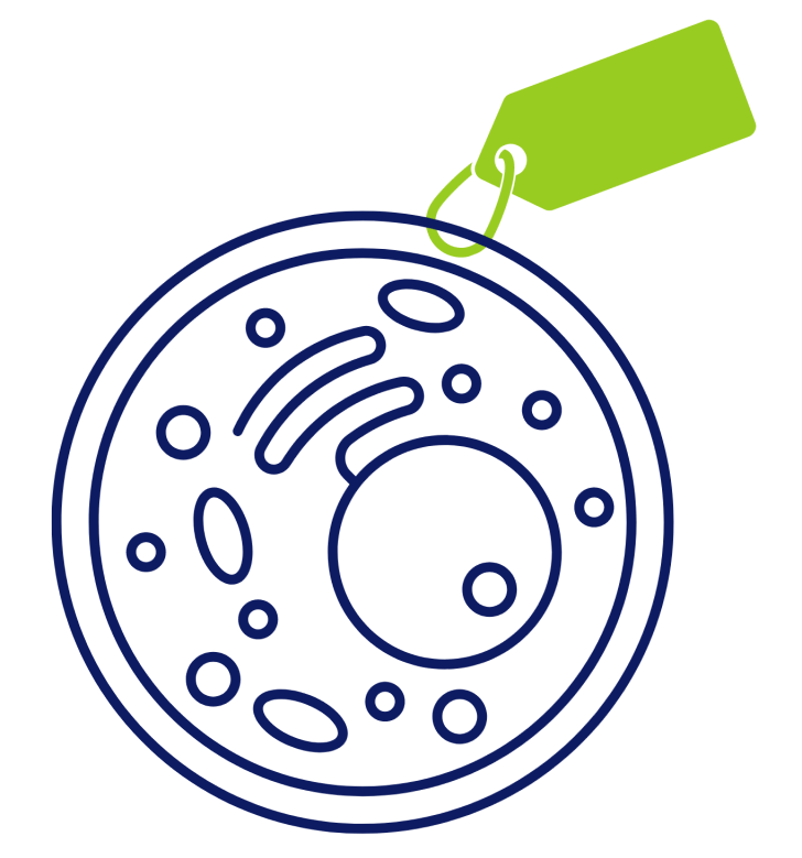 Epitope Tags