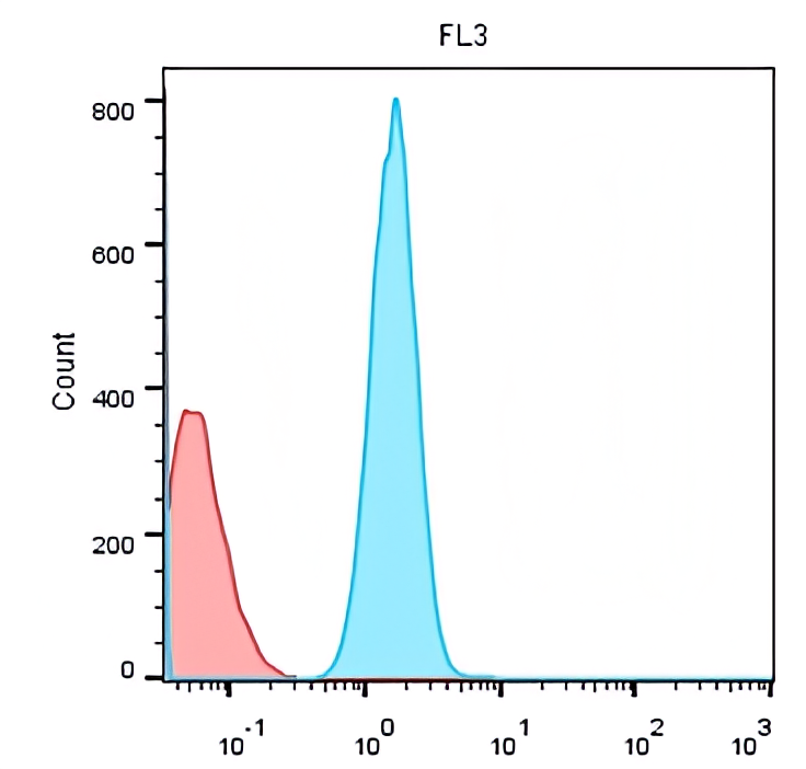 CD19 antibody CD19 antibody
