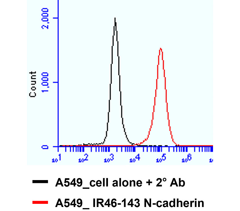 Customer feedback Image IR46-143 anti- N cadherin antibody FACS image Customer feedback Image IR46-143 anti- N cadherin antibody FACS image