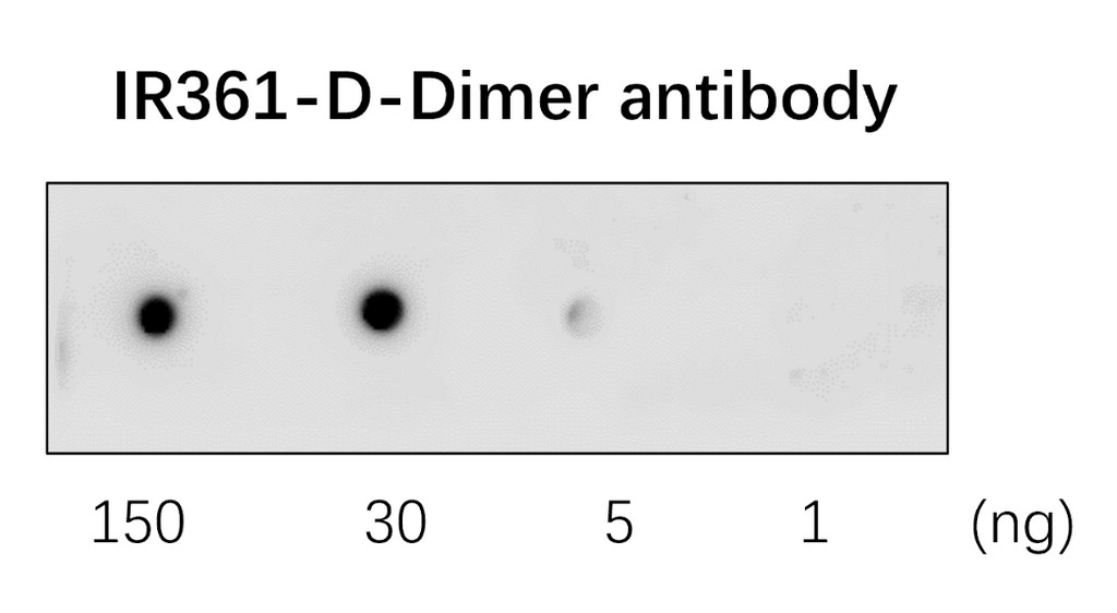 DDimer antibody (IR361) iReal Biotechnology, Inc.