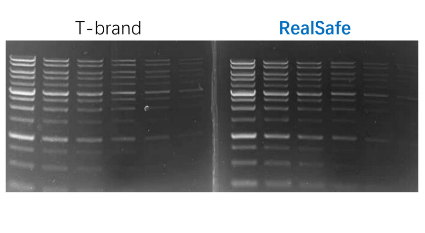RealSafe Nucleic Acid Gel Stain